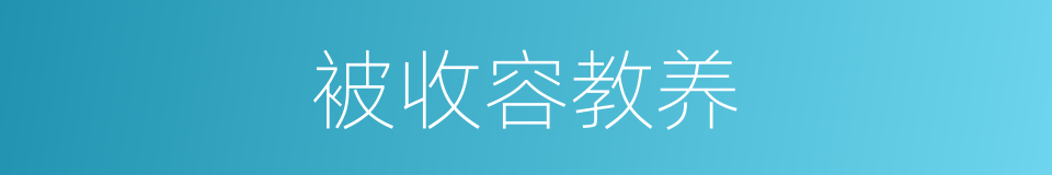 被收容教养的同义词