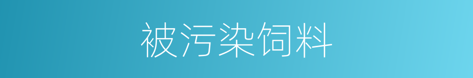 被污染饲料的同义词