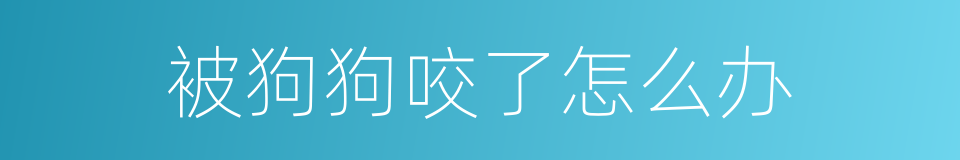 被狗狗咬了怎么办的同义词