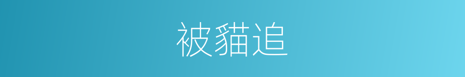 被貓追的同義詞