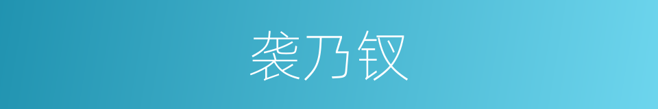 袭乃钗的同义词