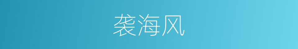 袭海风的同义词