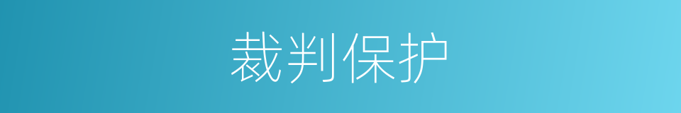 裁判保护的同义词