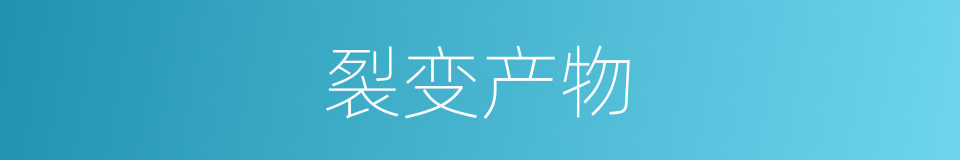 裂变产物的同义词