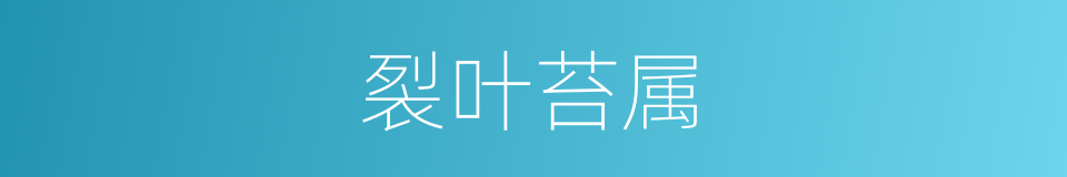 裂叶苔属的同义词