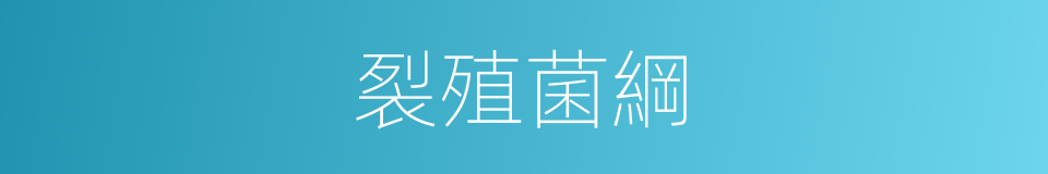裂殖菌綱的同義詞
