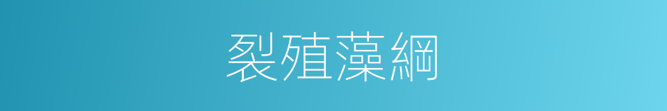 裂殖藻綱的同義詞