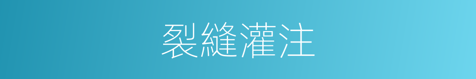 裂縫灌注的同義詞