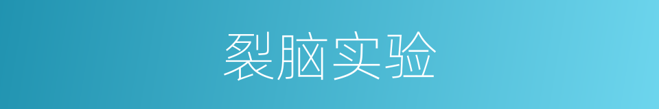 裂脑实验的同义词