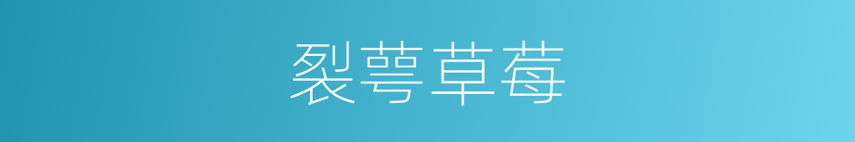 裂萼草莓的同义词