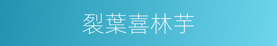 裂葉喜林芋的同義詞