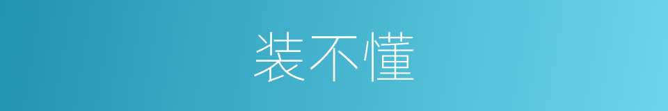 装不懂的同义词