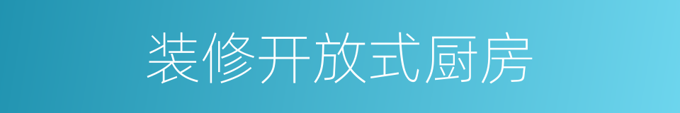装修开放式厨房的同义词