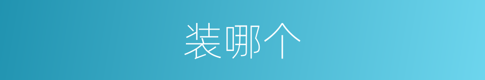 装哪个的意思