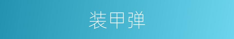 装甲弹的同义词