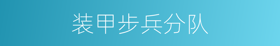 装甲步兵分队的同义词