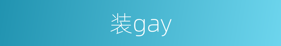 装gay的意思