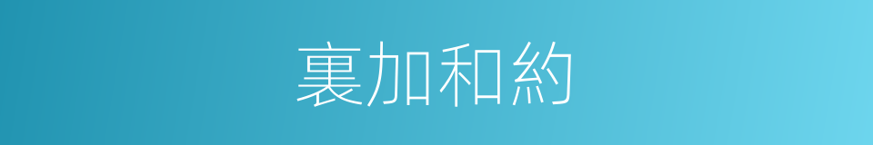 裏加和約的同義詞