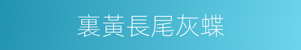 裏黃長尾灰蝶的同義詞