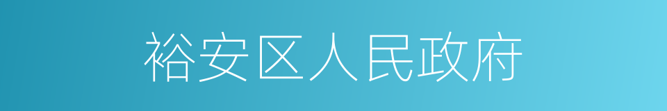 裕安区人民政府的同义词