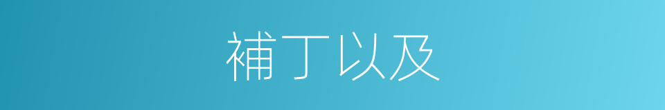 補丁以及的意思