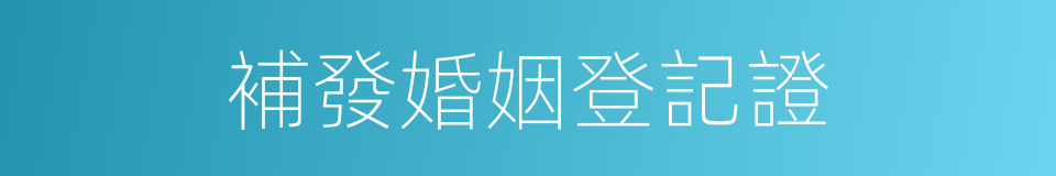 補發婚姻登記證的同義詞