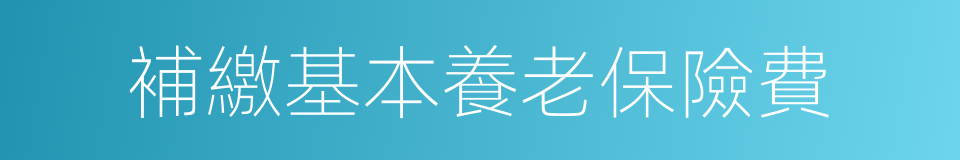 補繳基本養老保險費的同義詞