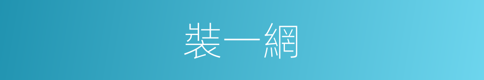 裝一網的同義詞