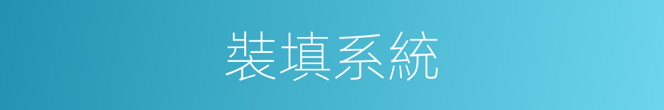 裝填系統的同義詞