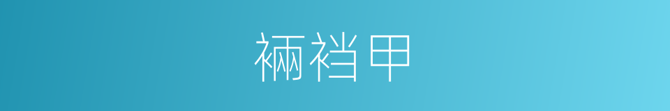 裲裆甲的同义词