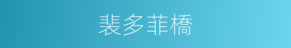 裴多菲橋的同義詞