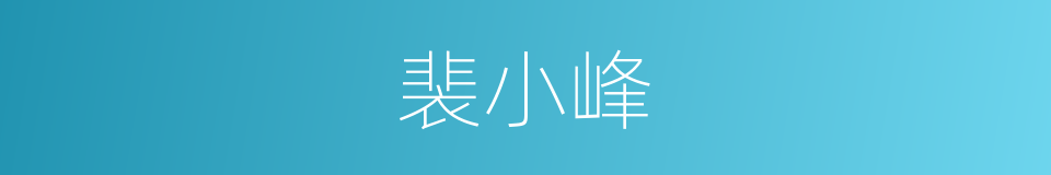 裴小峰的同义词