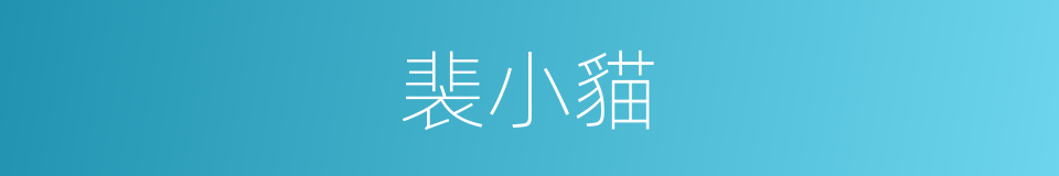 裴小貓的同義詞