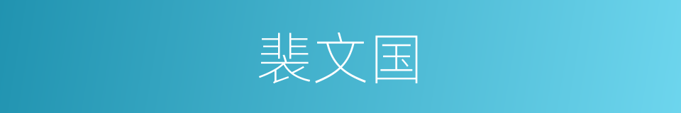 裴文国的同义词