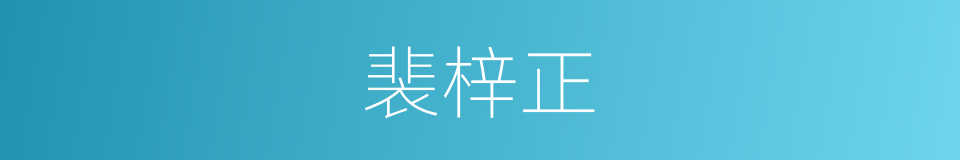 裴梓正的同义词