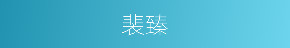 裴臻的同义词