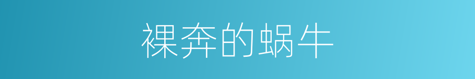 裸奔的蜗牛的同义词