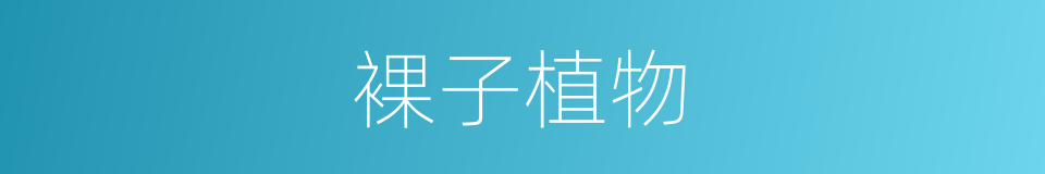 裸子植物的意思