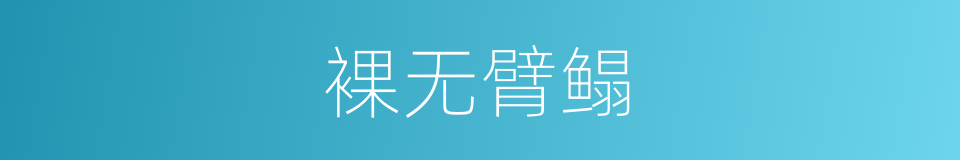 裸无臂鳎的同义词