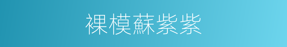 裸模蘇紫紫的同義詞