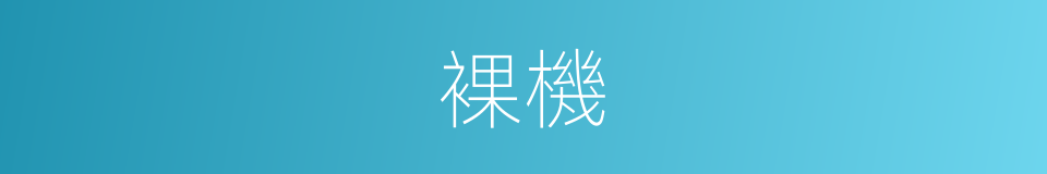 裸機的意思