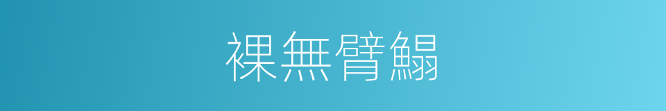 裸無臂鰨的同義詞