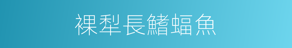裸犁長鰭蝠魚的同義詞