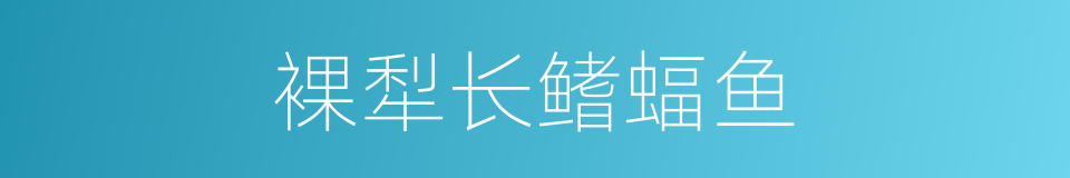 裸犁长鳍蝠鱼的同义词