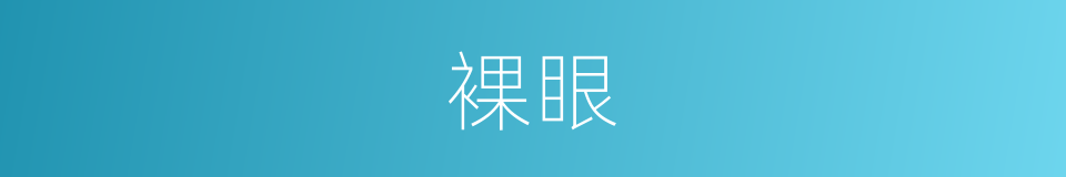 裸眼的同义词