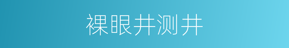 裸眼井测井的同义词