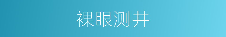 裸眼测井的意思