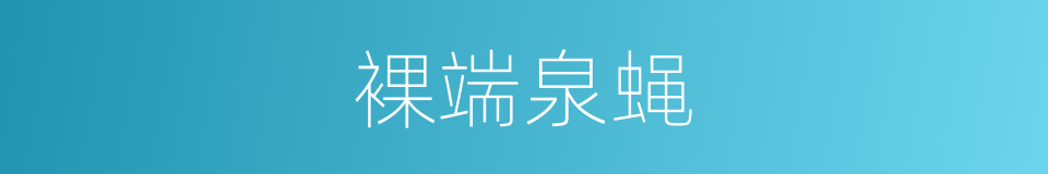 裸端泉蝇的同义词