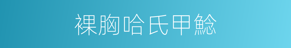 裸胸哈氏甲鯰的同義詞