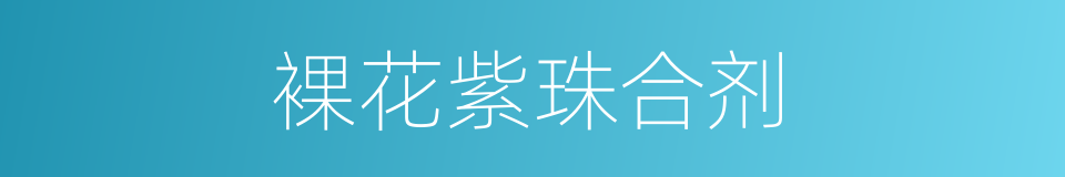 裸花紫珠合剂的同义词